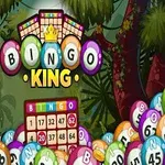 Farebné bingo gule a bingo karta s textom Bingo King na pozadí džungle