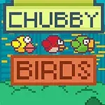 Trojica kreslených vtákov v pestrých farbách na pozadí pixelového mesta s nápisom Chubby Birds