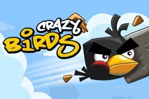 Kreslený čierny vták s výraznými obrvami letí oblohou a rozbíja drevené dosky, s nápisom Crazy Birds vedľa neho