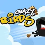 Kreslený čierny vták s výraznými obrvami letí oblohou a rozbíja drevené dosky, s nápisom Crazy Birds vedľa neho