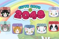 2048 s mačkami