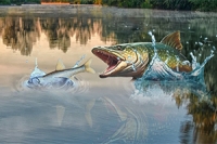 V Fish Rain je čas chytiť najväčšiu rybu