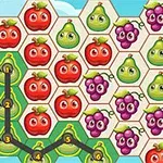 Ilustrácia s hexagonálnymi políčkami zobrazuje ovocie ako jabĺčka, hrušky a hrozno v jasných farbách s prepojenými zelenými hruškami
