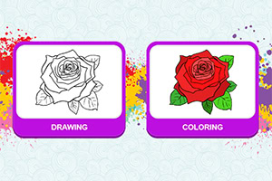 Čiernobiely a farebný obrázok ruže vedľa seba, označené ako Drawing a Coloring na fialových kartičkách s farebnými škvrnami v pozadí