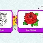 Čiernobiely a farebný obrázok ruže vedľa seba, označené ako Drawing a Coloring na fialových kartičkách s farebnými škvrnami v pozadí