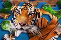 Hexa Jigsaw Puzzle je inovatívna a zábavná skladačka hexa