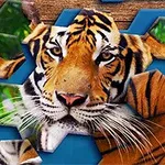 Tigerie hlava a časť tela sú zložené z viacerých šesťuholníkových dielikov na modrom pozadí