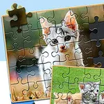 Puzzle s obrázkom mačiatka, niektoré dieliky chýbajú
