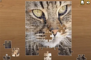Puzzle s obrazom mačky s výraznými zelenými očami na drevenom pozadí v procese skladania
