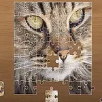 Puzzle s obrazom mačky s výraznými zelenými očami na drevenom pozadí v procese skladania