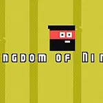 Žlté pozadie s pixelovým ninja tvárou uprostred a textom Kingdom of Ninja 2