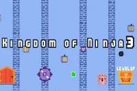 Ahoj z tretej série hry Kingdom of Ninja