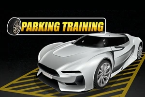 Strieborné športové auto zaparkované na čierno-žltých značeniach s nápisom Parking Training