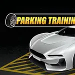 Strieborné športové auto zaparkované na čierno-žltých značeniach s nápisom Parking Training