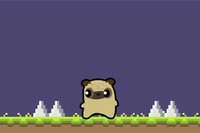 Dobrodružstvo Pug Love začína dnes!