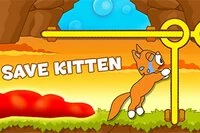 Katastrofa! Nahnevaný kocúr Tom nalákal mačiatka do svojej veže