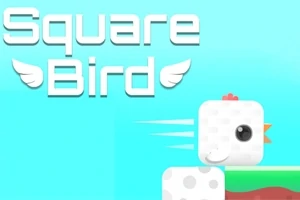 Názov Square Bird s okrídleným dizajnom vedľa štvorcového vtáčika na modrom pozadí