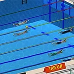 Plavci súťažia v bazéne rozdelenom farebnými dráhami
