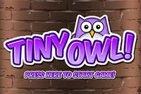 Unikaj netopierov a mín v Tiny Owl!