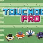 Hráči v rôznofarebných dresoch stoja pod textom Touchdown Pro na trávnatej ploche ihriska