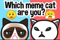 Nájdi si svoj meme mačku: Emoji kvíz