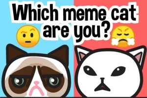 Obrázok zobrazuje dve kreslené mačky s rôznymi emotivnými výrazmi tváre na farebnom pozadí s textom Which meme cat are you?