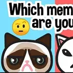 Obrázok zobrazuje dve kreslené mačky s rôznymi emotivnými výrazmi tváre na farebnom pozadí s textom Which meme cat are you?