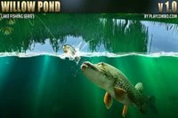 Willow Pond je farebný simulátor rybolovu