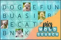 Hlavolam pre majstrov slov - Word Search Pictures